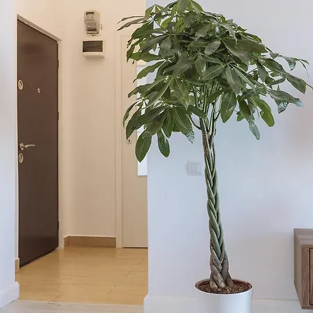 Appartement Universitate Heart View Boekarest