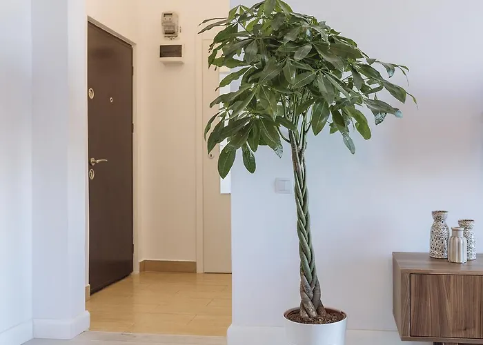 Apartament Universitate Heart View Bucureşti